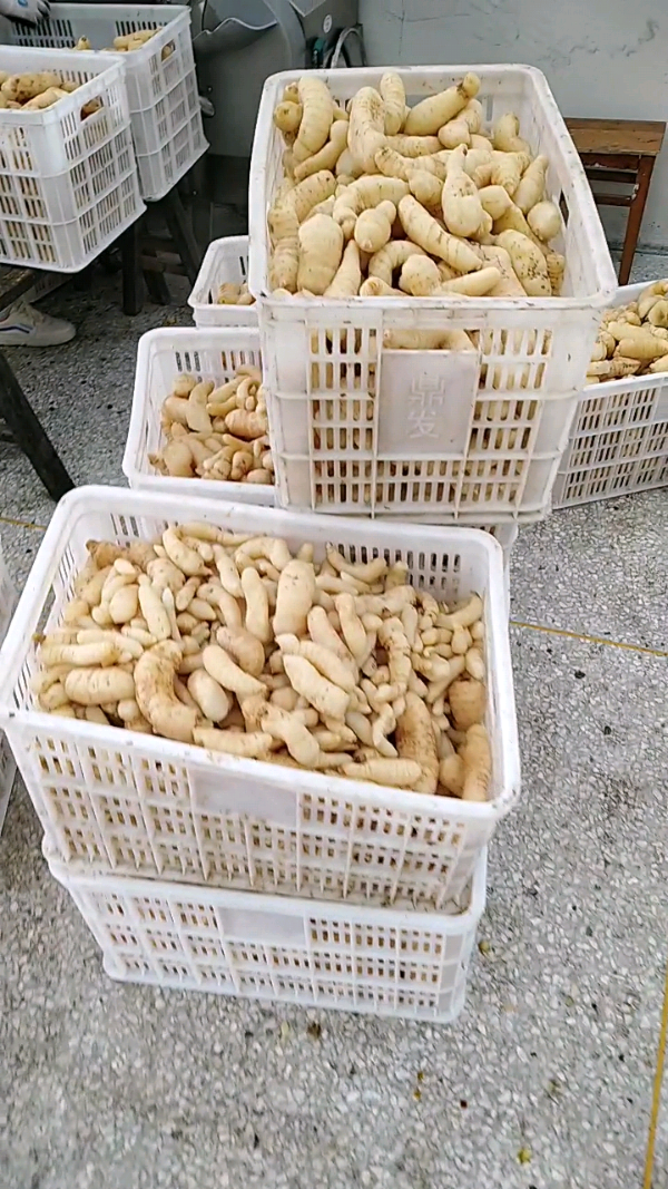 益陽瑪山產業機械有限公司，湖南益陽螺旋風管廠家，熱風食品烤房
